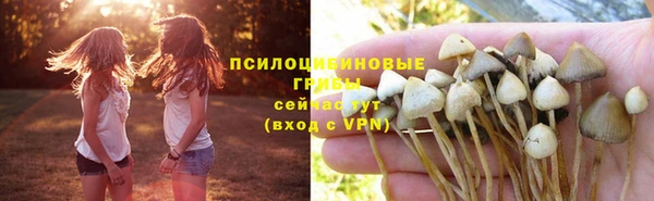 стафф Богородицк