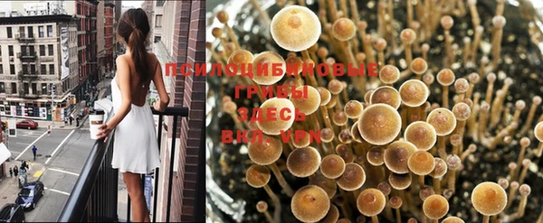 стафф Богородицк