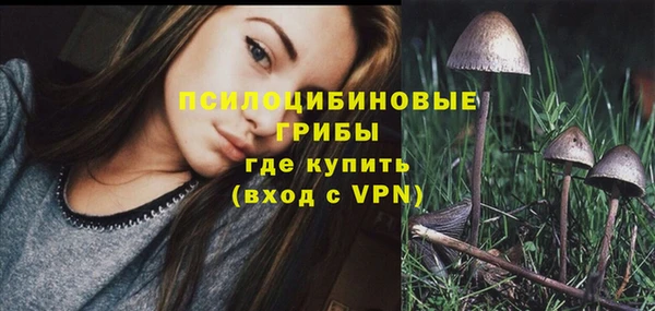 стафф Богородицк
