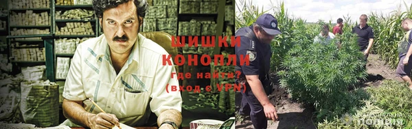 стафф Богородицк