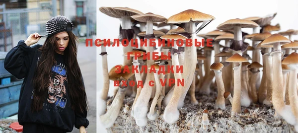 a pvp Богородск