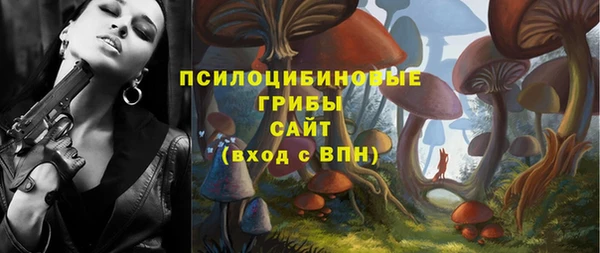 a pvp Богородск