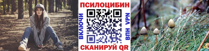 Купить закладки  Гдов  Галлюциногенные грибы ЛСД 